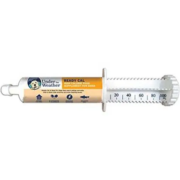 100cc Under The Weather Ready Cal Tube For Dogs - Supplements